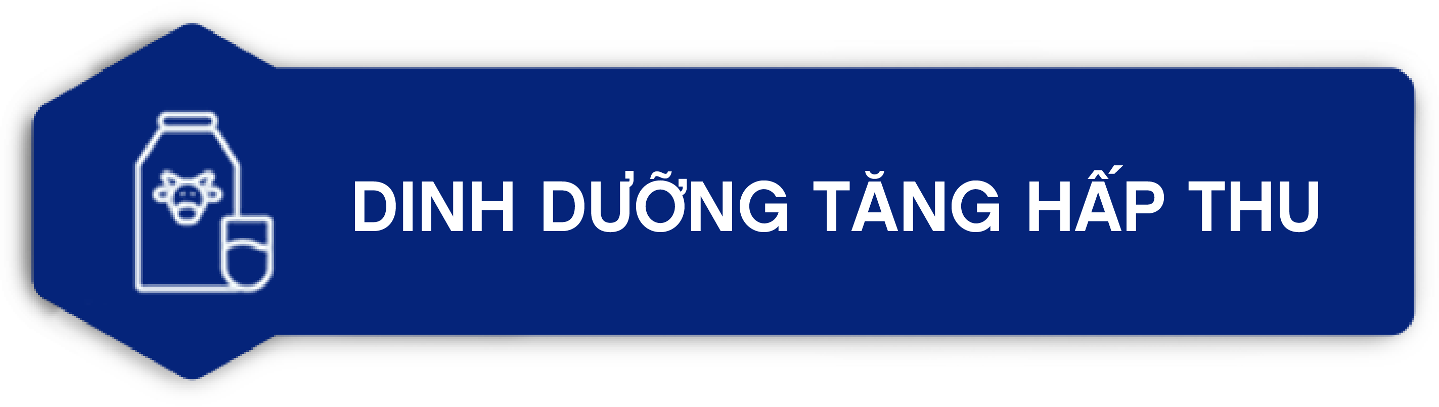 Dinh dưỡng tăng hấp thu